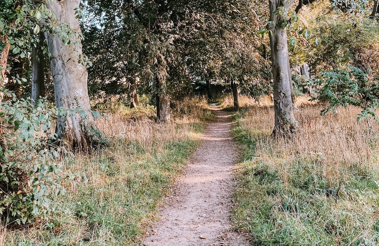 Africa EduTimesAfrica