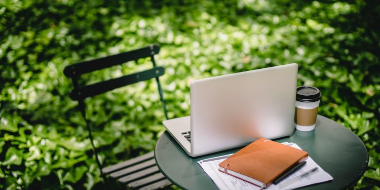 Winning the future with greening education