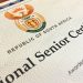 South Africa’s 2024 National Senior Certificate  Examination Results