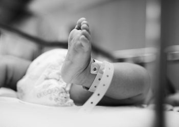 An Introduction To The Worlddidac (WD) Association