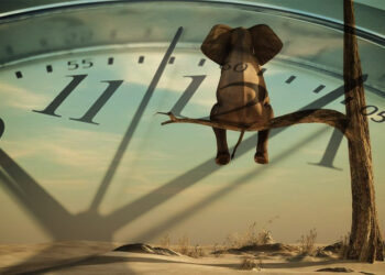 16 or 18? A Time for Reflection?