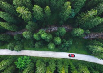 The Revitalization of the Nigerian Education System: A Pathway to Sustainable Development