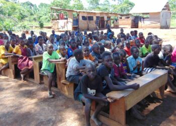 Transforming Rural Education in Africa: Strategies for Sustainable Development