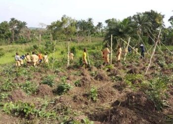 Project Management Education and the Future of Africa