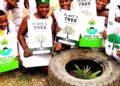 Environmental Education In Nigeria: Addressing Disparities in Low-Income Schools