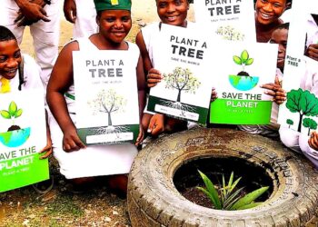 Environmental Education In Nigeria: Addressing Disparities in Low-Income Schools