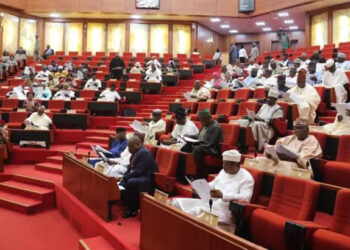 NUC, Senate canvasses creation of more universities in Nigeria