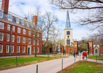 Top 8 Universities in the United States Offering Online Masters Program