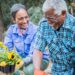 Beyond the Classroom: The Green Path to a Fulfilling Retirement