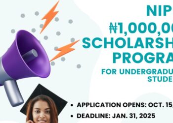 NIPES Engineering and Science Scholarship 2025