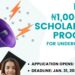 NIPES Engineering and Science Scholarship 2025