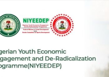 Federal Government NIYEEDEP Program 2025: Application Guide