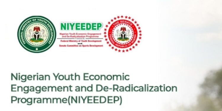 Federal Government NIYEEDEP Program 2025: Application Guide