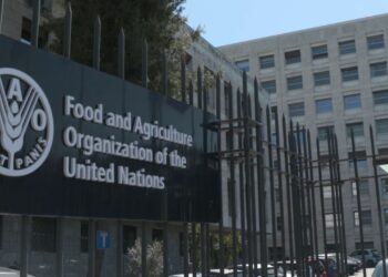 Apply: 2025 FAO Internship Program (Food and Agriculture Organization)