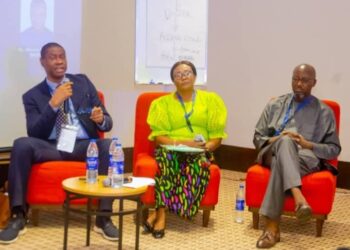 Sport Africa Investment Summit: Experts Discuss Community Development Through Sports