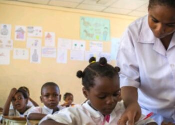 Angola Advocates Inclusive Language Policies to Preserve Cultural Diversity