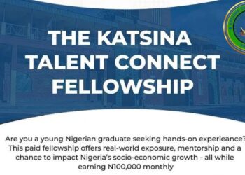The Katsina Government Talent Connect Fellowship