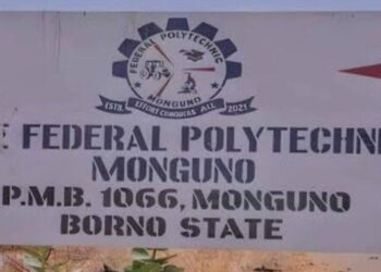 Federal Polytechnic Monguno Acknowledges NELFund Intervention for Students