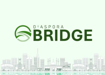 Minister Alausa Announces BRIDGE: A New Platform for Diaspora Engagement in Education, Research, Healthcare