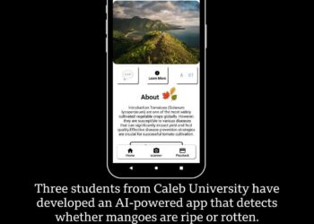 Nigerian Students Develop AI App to Detect Fruit Ripeness