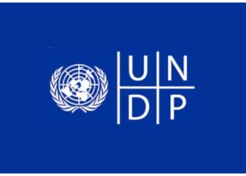 Apply: UNDP Digital Transformation Internship 2025  Global Application