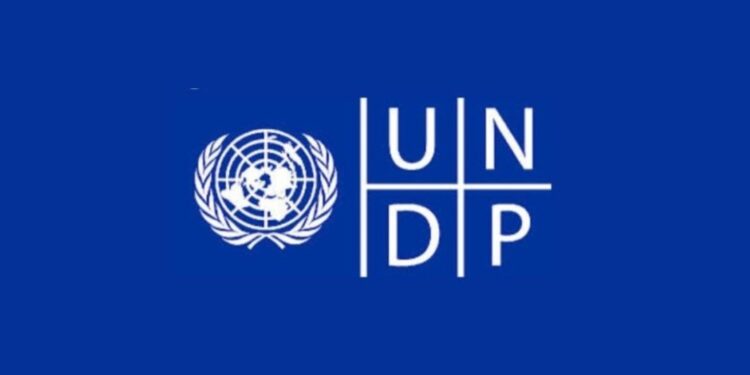 Apply: UNDP Digital Transformation Internship 2025  Global Application