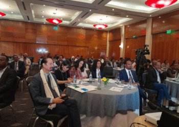 Ethiopia Launches Nationwide Early Childhood Development and Education Policy Campaign