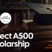 Apply: AGIF Undergraduate Scholarship 2025 for Nigerians (Project A500)