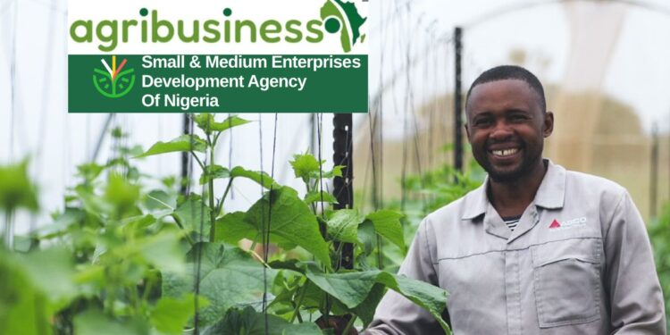 Apply:  2025 SMEDAN AgriBusiness Empowerment and Development Program (ADEP)