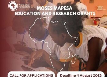 Apply:  AWHF Moses Mapesa Research Grant 2026/2027 for Young African Researchers