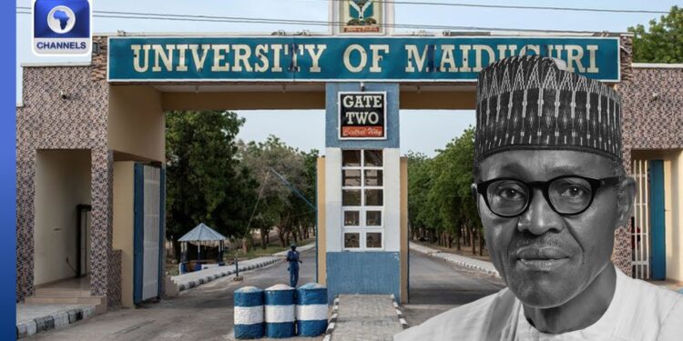 Liberia: President Boakai Vows 100 Modern Elementary Schools