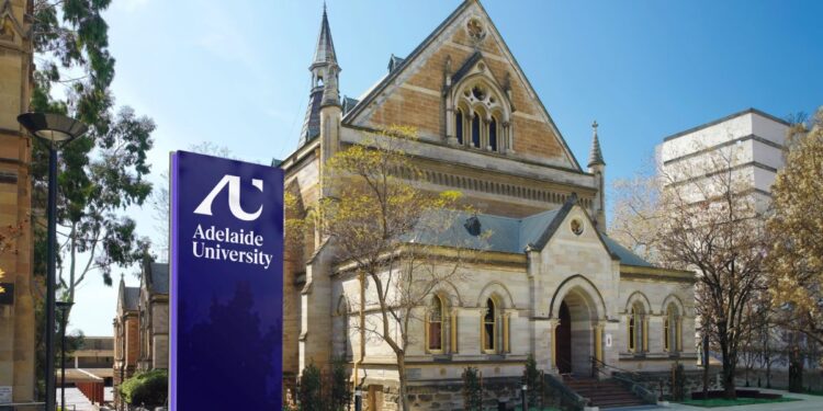 Apply: Southampton Business School MBA Scholarship 2025 | Up to £15,000