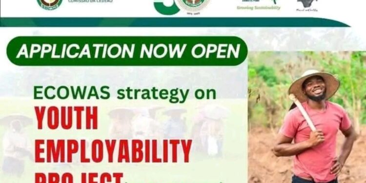 Apply : ECOWAS Youth Employability Project (ECOWAS-YEP) 2025