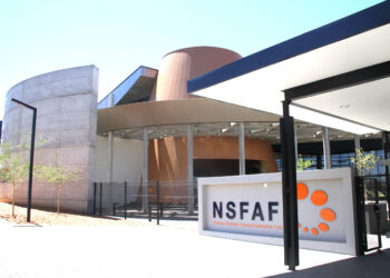 Namibia Can Afford Free Tertiary Education – IPPR Backs Government’s Ambitious Plan