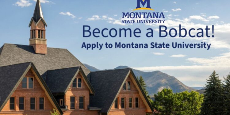 Apply: Montana State University Masters Scholarship 2025 | Fully Funded Graduate Assistantship