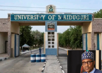 Tinubu Renames UNIMAID in Honour of Buhari: Education Ministry Lauds Move