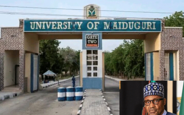 Tinubu Renames UNIMAID in Honour of Buhari: Education Ministry Lauds Move