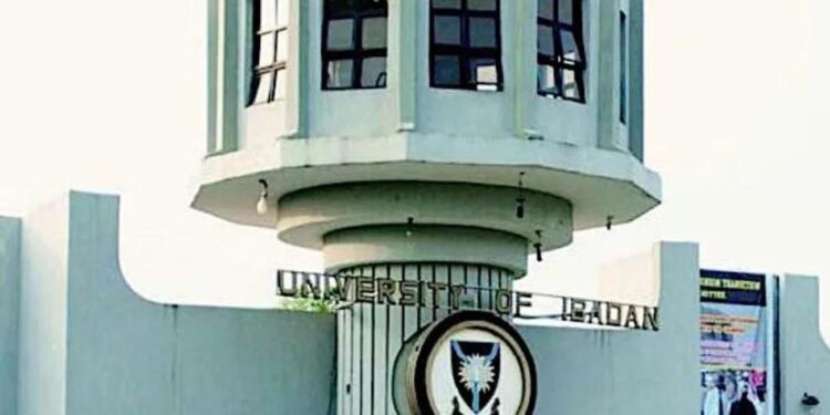 Amnesty International Urges University of Ibadan to Reinstate Suspended Students Over Peaceful Protest
