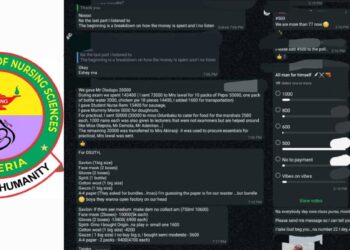 Nigeria: Ogun Nursing Students Cry Out Over Welfare Neglect, Mounting Hidden Costs