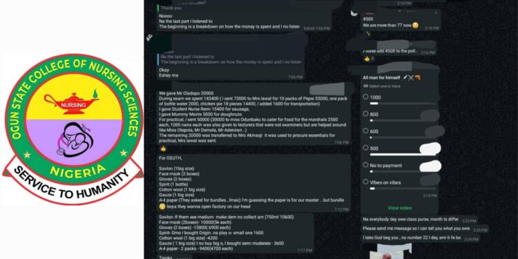 Nigeria: Ogun Nursing Students Cry Out Over Welfare Neglect, Mounting Hidden Costs