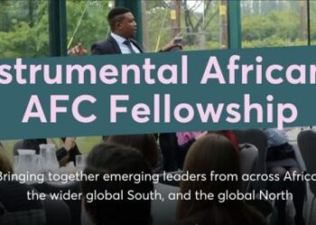 APPLY: Africa Finance Corporation (AFC) Fellowship 2024 for Young Africans