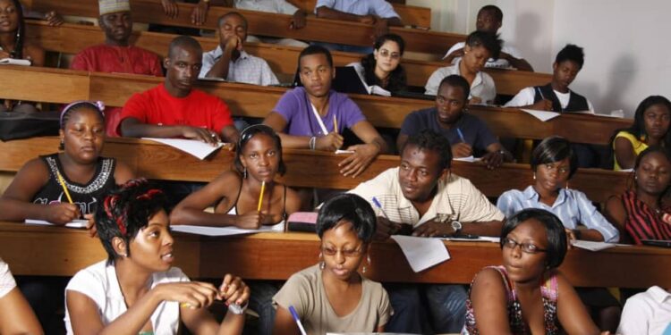 Africa Needs Transformative Education, Not Just Skills Training