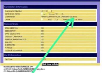 5 Step-by-Step Guide for Checking 2025 WASSCE Results