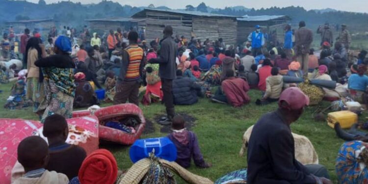 Uganda: Congolese Refugee Girls Find Hope and Education in Kampala School