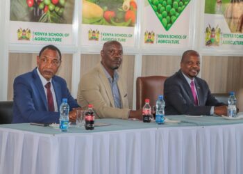 Liberia: Pleebo DEO Shuts Down Underpopulated School, Recommends Permanent Closure to Ministry