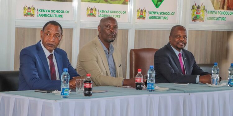 Liberia: Pleebo DEO Shuts Down Underpopulated School, Recommends Permanent Closure to Ministry