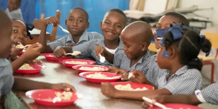 Nigeria: Plans to Feed 50 Million Primary School Pupils by 2026 – NSIPA