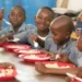 Nigeria: Plans to Feed 50 Million Primary School Pupils by 2026 – NSIPA