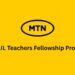 MTN SAIL Teachers Fellowship Programme for Nigerians 2025