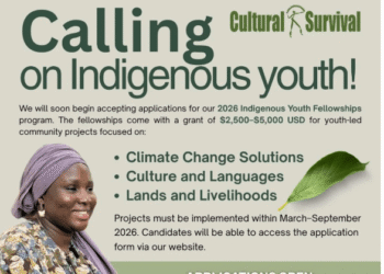 Call for Proposals: 2026 Indigenous Youth Fellowship